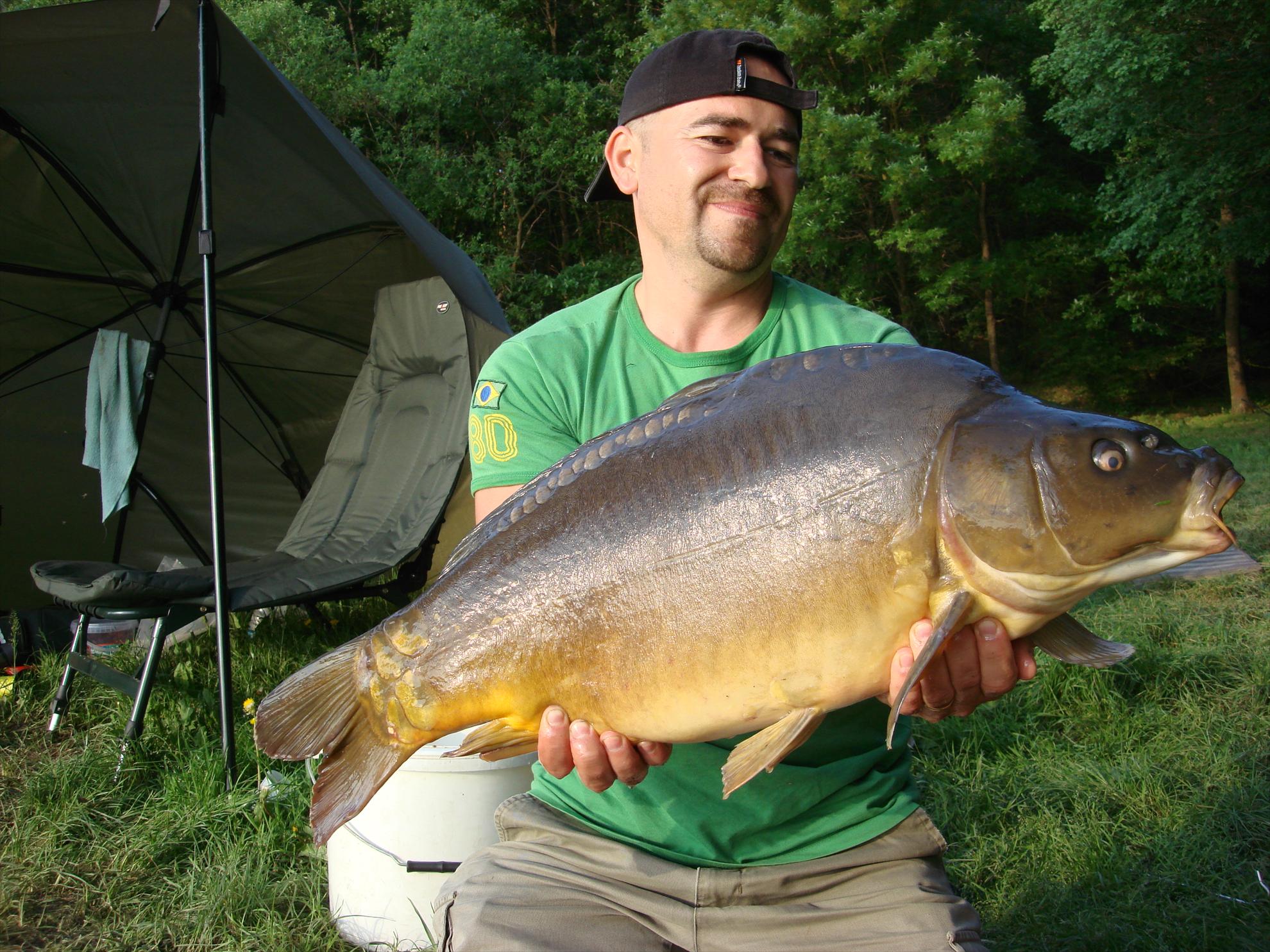 Cetariu Mai 2013 - dsc06094.JPG